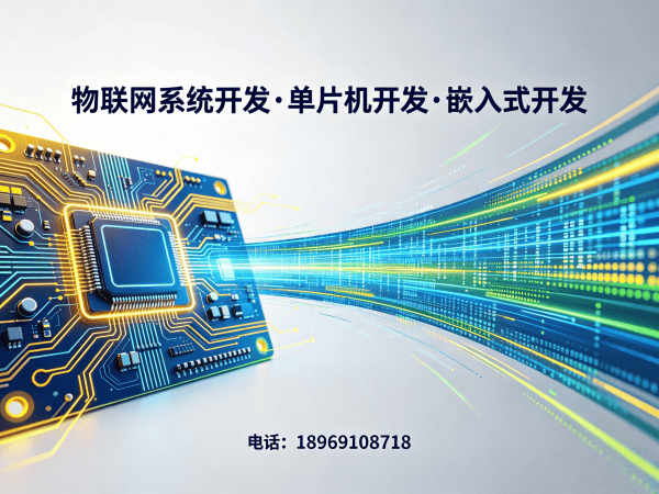 武汉物联网开发：嵌入式安全开发助力企业数字化转型