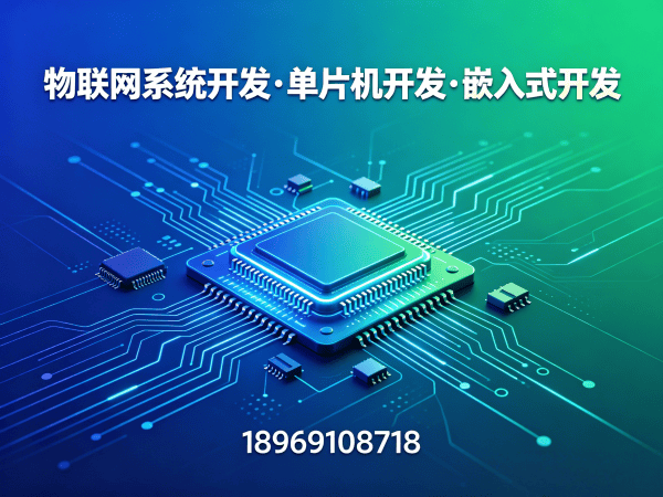 天津嵌入式性能优化物联网开发解决方案，助力企业数字化转型