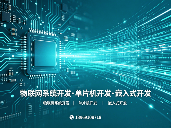 苏州物联网传感器开发智能养老监测系统解决方案
